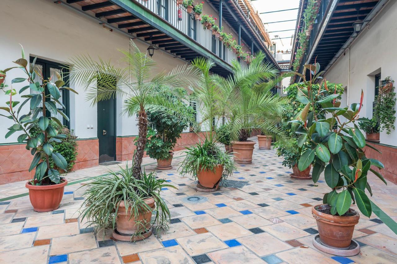 Appartement Alohamundi Lumbreras Iv